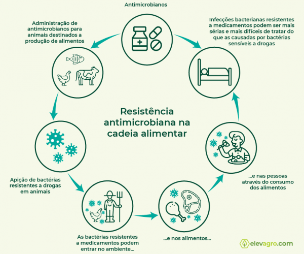 Fonte: Elevagro.com