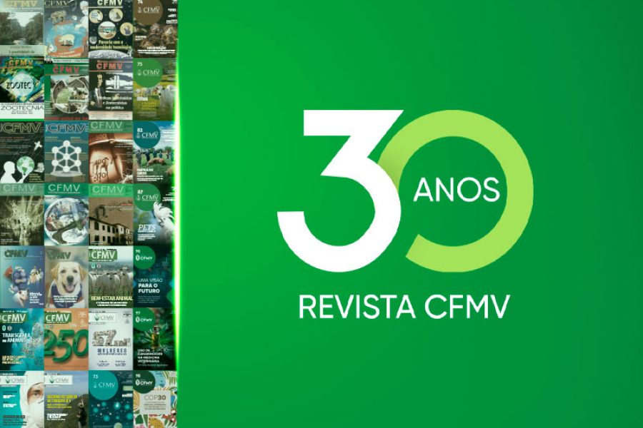 Banner-Página-Interna-Matéria